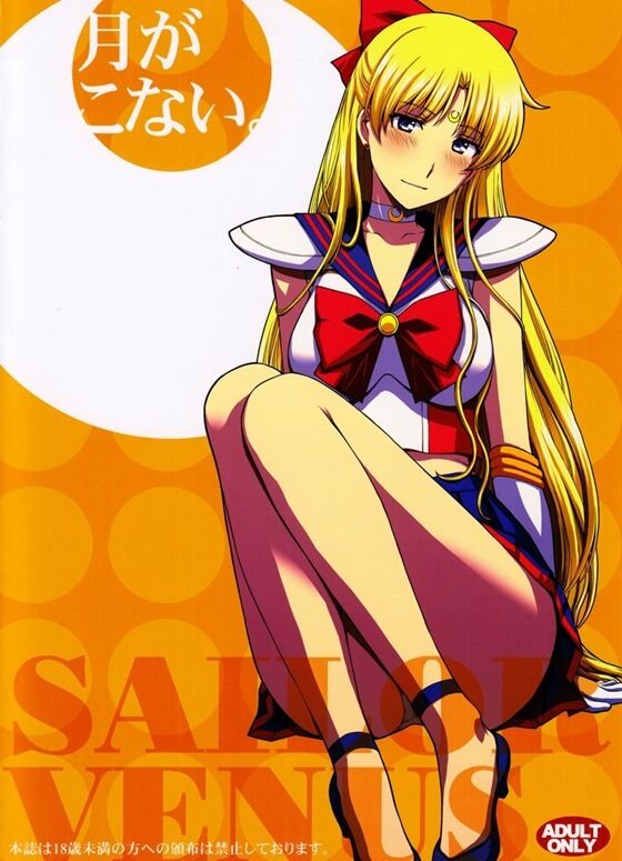 セーラーヴィーナス042_thumb