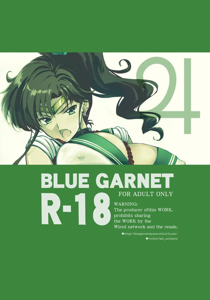 セーラージュピター28