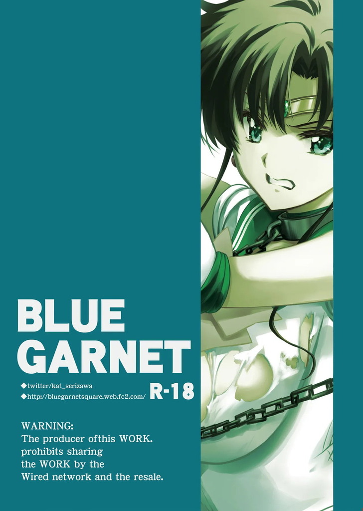 セーラージュピター28