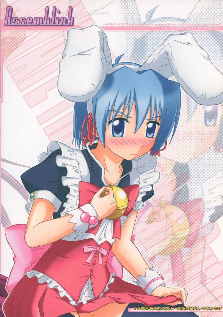 桂ヒナギク38