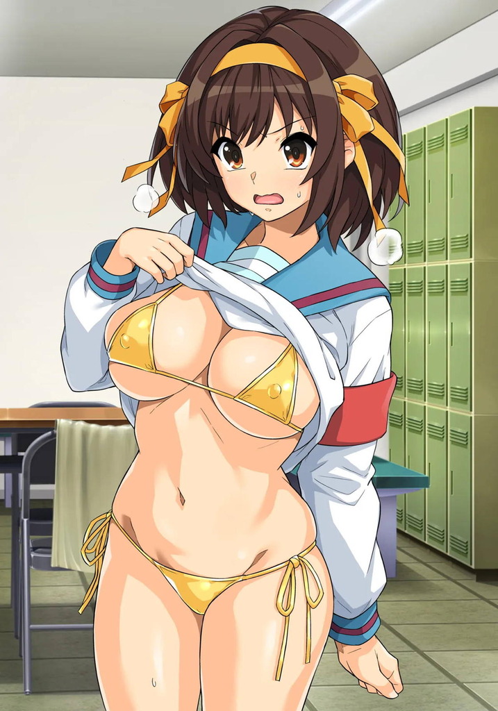 涼宮ハルヒ29