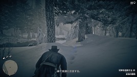 Red Dead Redemption 2_20181028003030