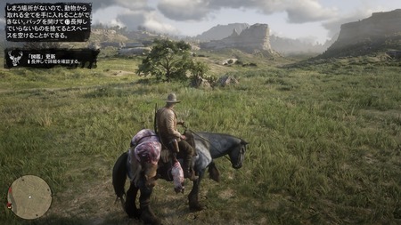 Red Dead Redemption 2_20181029065952