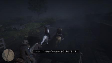 Red Dead Redemption 2_20181127223420