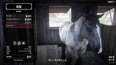 Red Dead Redemption 2_20181028221115