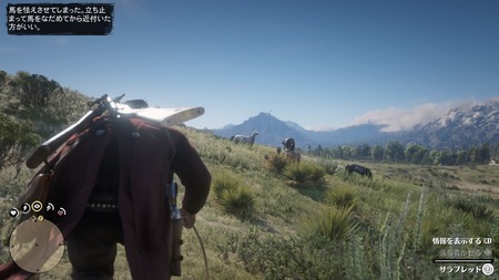 Red Dead Redemption 2_20181101223007