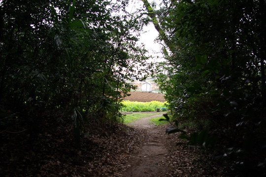 �ü�ο���ȴ�����衡�ɵܿ���