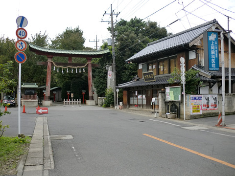 �ǽ�˻��ä����