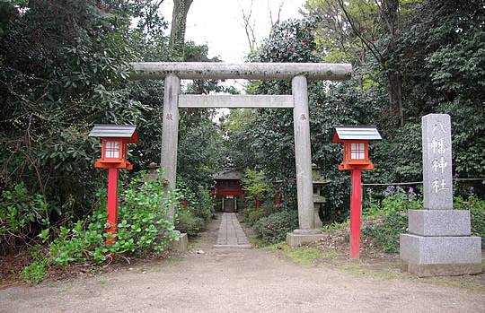 ȬȨ���ҡ��ɵܿ��Ҥι������