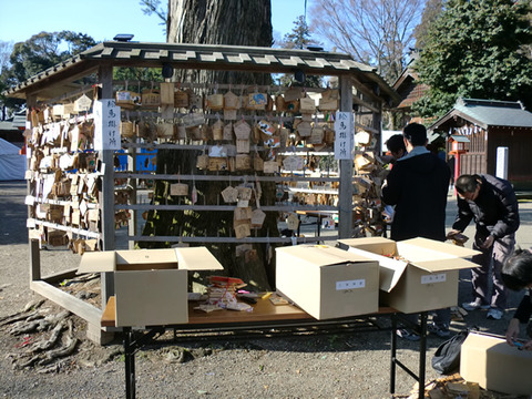 ���ϳ���in�ɵܿ���