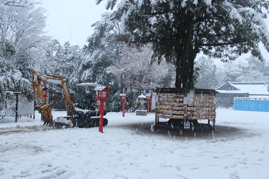 ����������ɵܿ��һ�ƻ����㤹��ŵ�