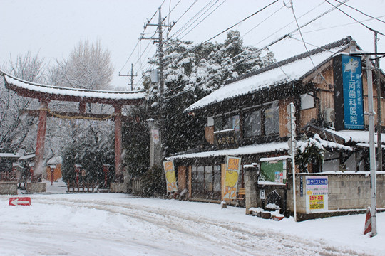 ����������ɵܿ�����