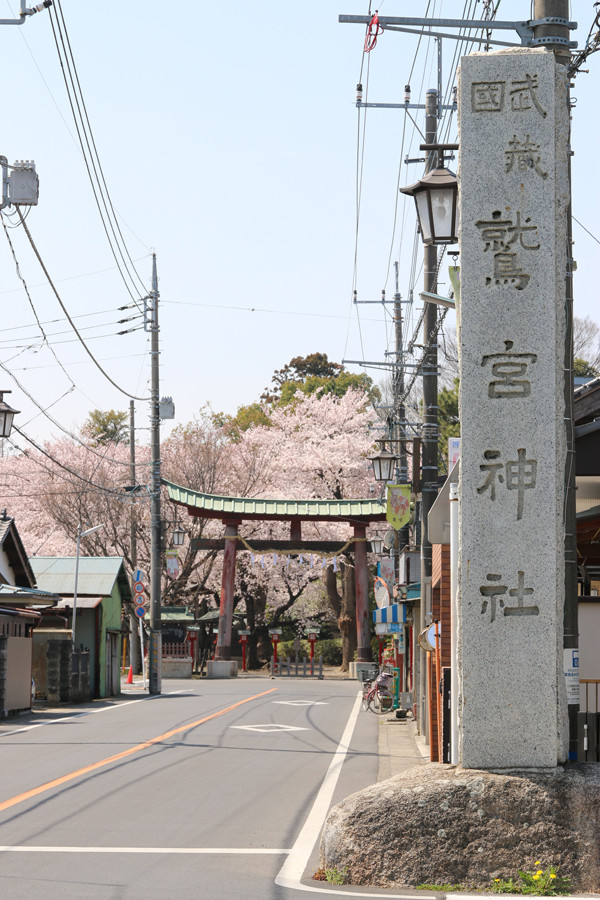 �ɵܿ��Ҥκ�2015ǯ��01