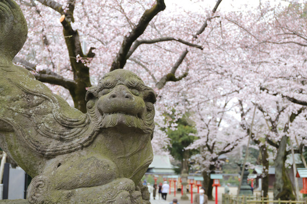 �ɵܤκ�20160402-1