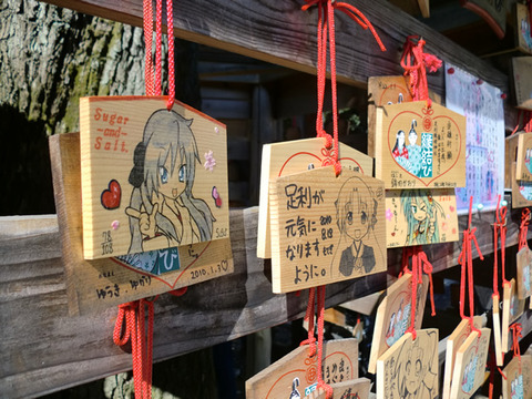 ここは鷲宮神社ですか?