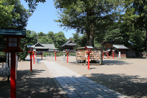 �ɵܿ��Ҷ���