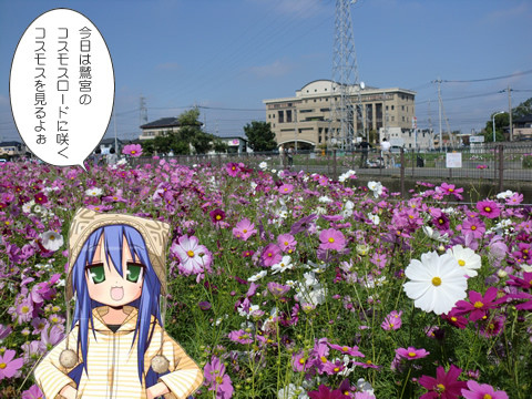 �ɵܥ����⥹�����ɤΥ����⥹�ʤ�