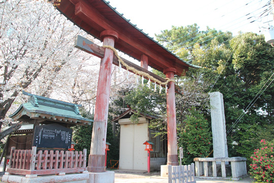 鷲宮神社鳥居と桜 2013年4月4日