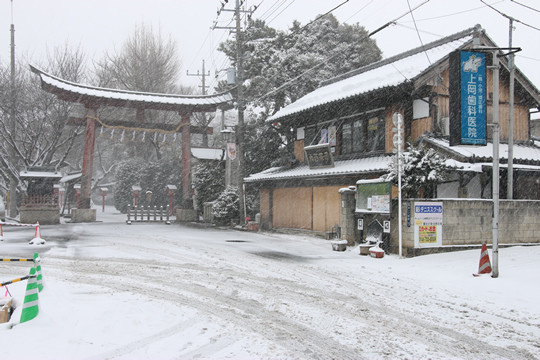 ����ɵܿ���Ļ����