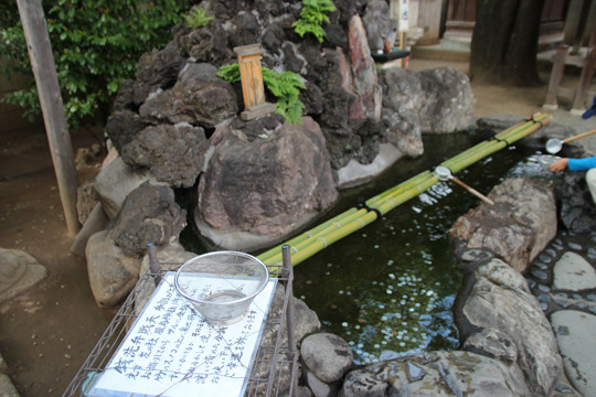 川越 熊野神社の銭洗弁財天
