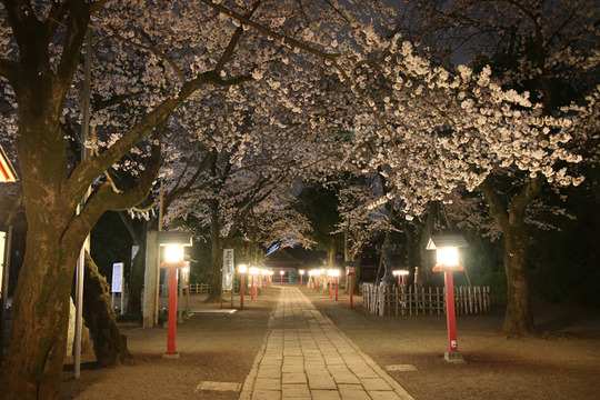 �ɵܿ��Ҥ����20140331