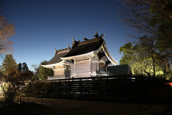 明け方の本殿 鷲宮神社2015年初売り