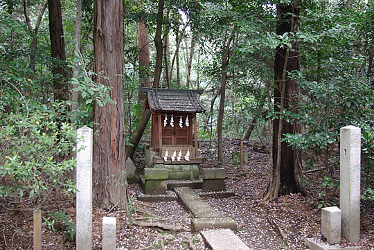 ��ټҡ��ɵܿ��Ҥι������