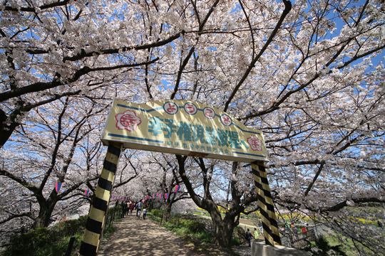 ���긢��Ʋ�κ�2014-07