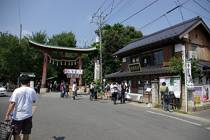 10��16���ɵܿ�����