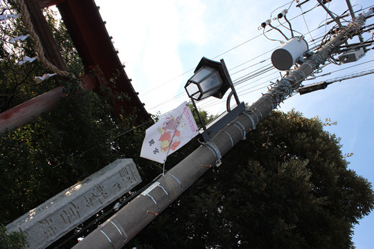 �֤���ɵܲ���3���礭������