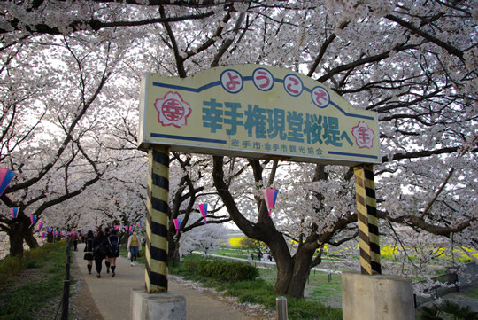 �褦�������긢��Ʋ�����