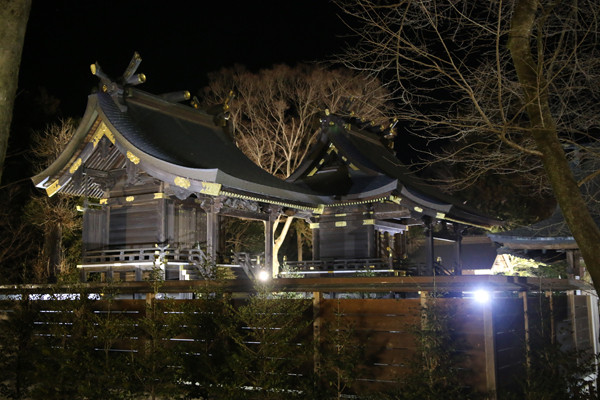 ライトアップされた本殿 鷲宮神社2015年初売り