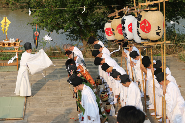 鷲宮神社 夏越祭11