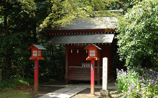 �������ҡ��ɵܿ��Ҥι������