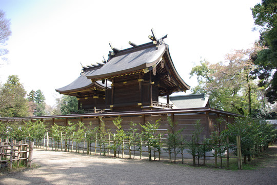 �ɵܿ��Ҹ����