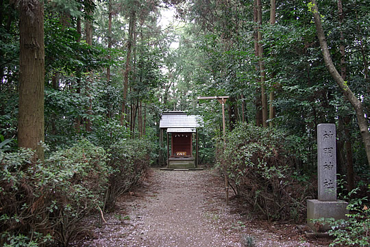 �������ҡ��ɵܿ��Ҥι������