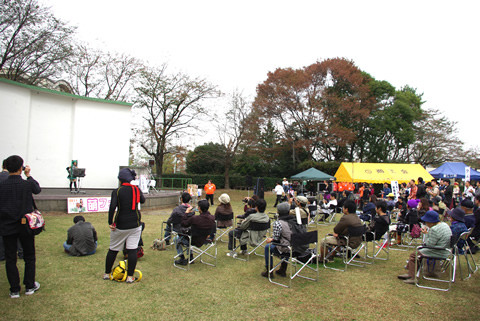 ����ι���