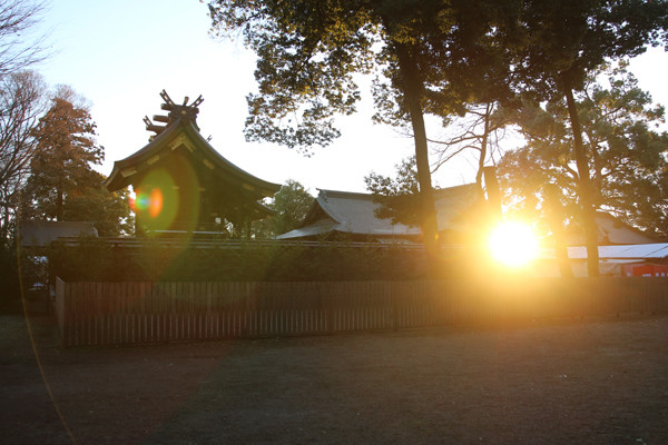 初日の出と鷲宮神社本殿 鷲宮神社2015年初売り