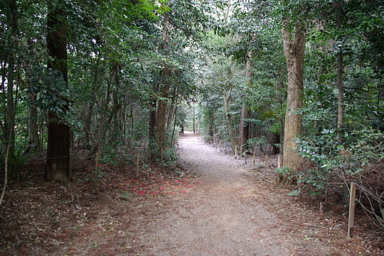 �ü�ο����ɵܿ���