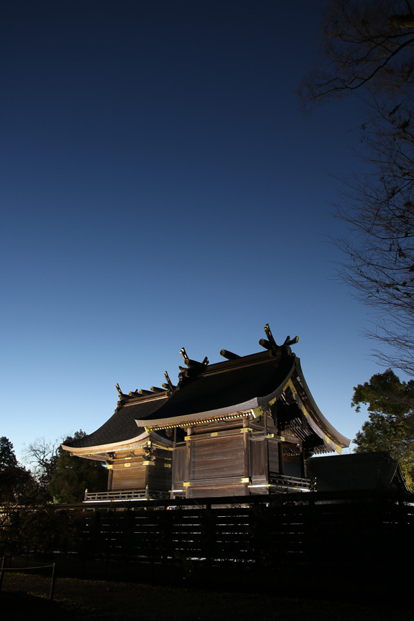 明け方の本殿2 鷲宮神社2015年初売り