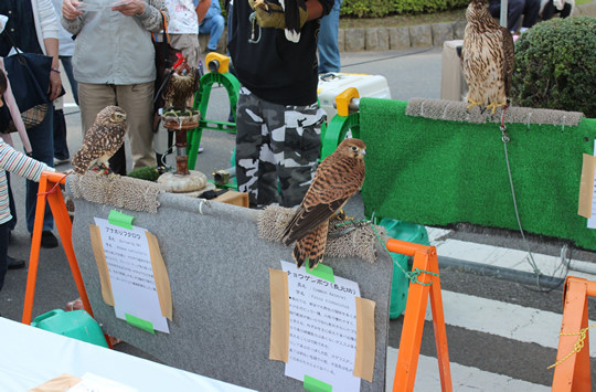 �路�Τߤ䥳���⥹�ե������ˤ�����ե֡���