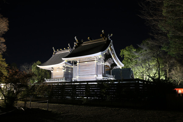 元旦の本殿 鷲宮神社2015年初売り