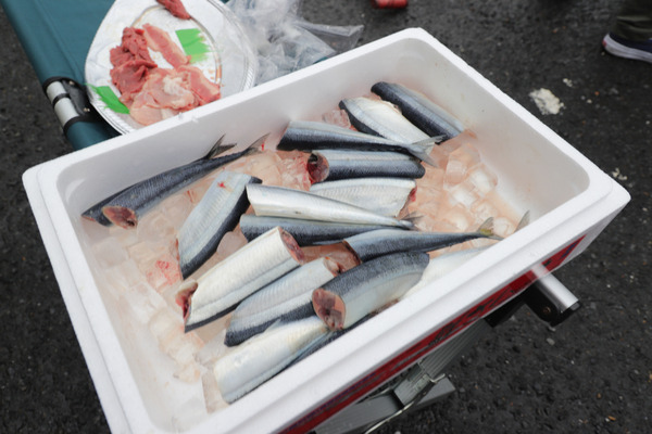 らっきーBBQ56