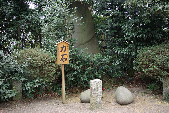 ���Сʤ����餤���� �ɵܿ���