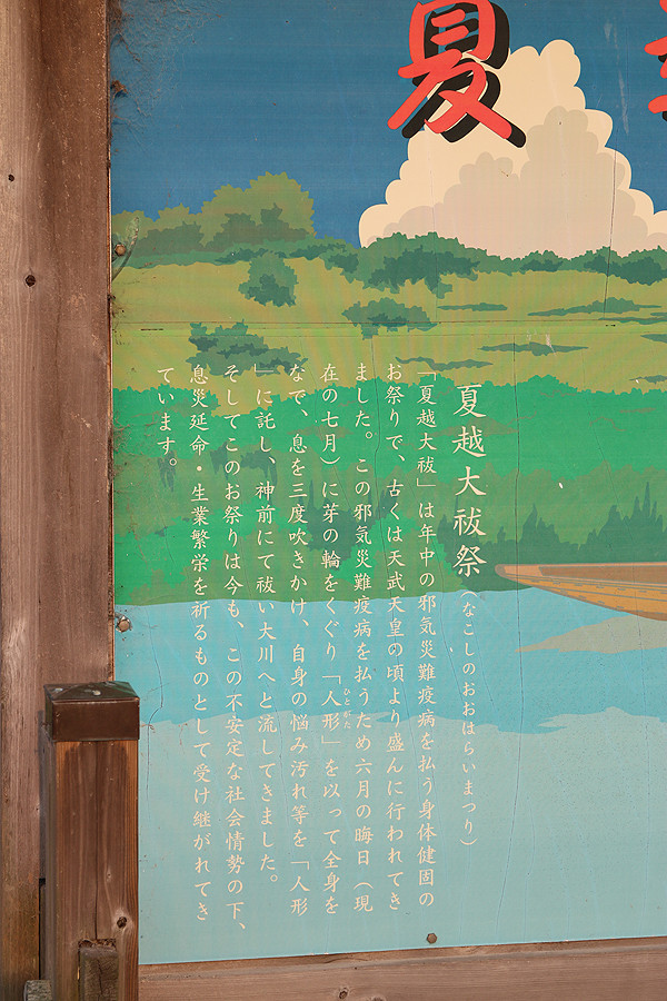 鷲宮神社 夏越祭16