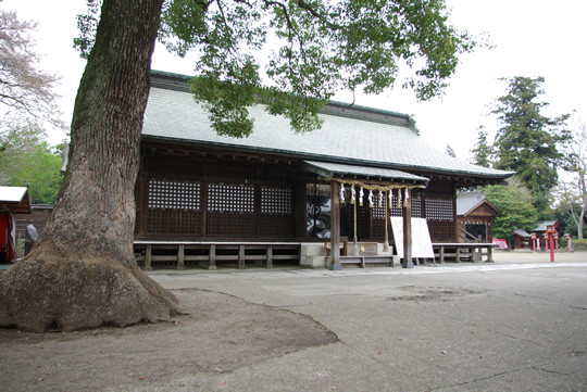 �ɵܿ�������