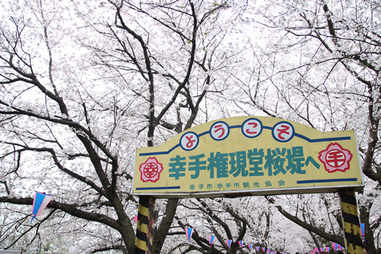 幸手権現堂入口 3月31日