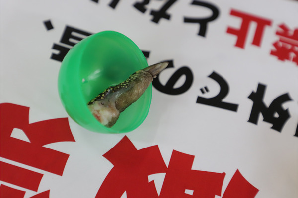 ��ä���BBQ2019-50