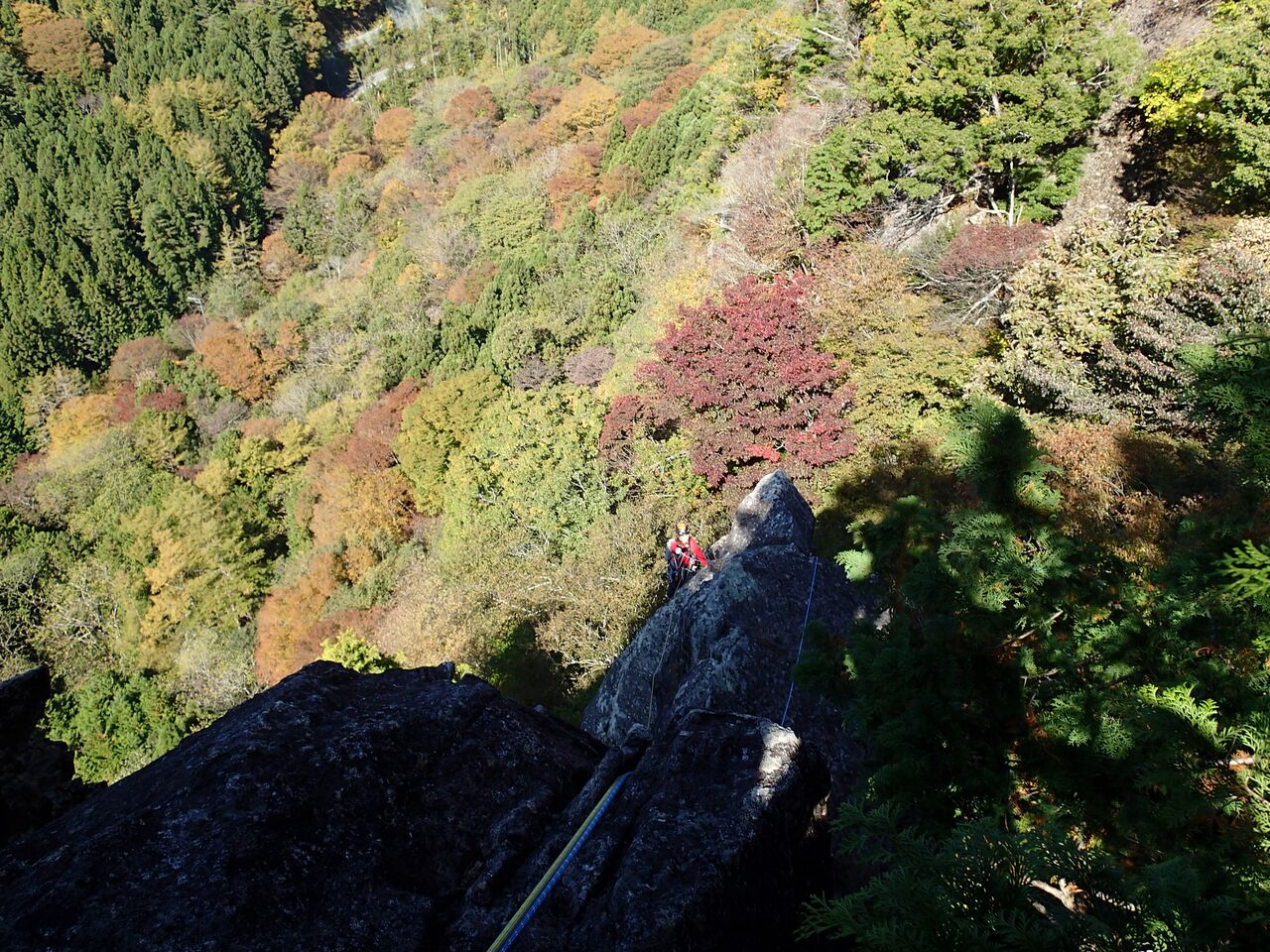山行ログ 20201031 太刀岡山左岩稜 小澤保志のブログ