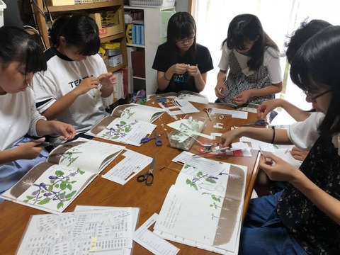 37689826_1649154928547500_6428011216706207744_n